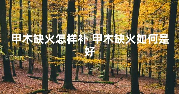 甲木缺火怎样补 甲木缺火如何是好